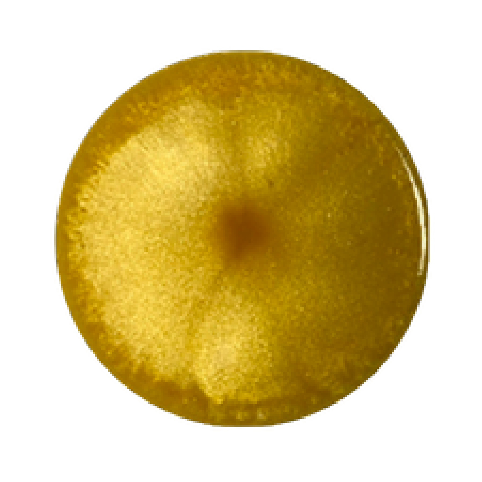 Money Gold Yellow  -Metallic Powder CRS 4 Oz